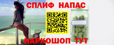 гидра Новозыбков